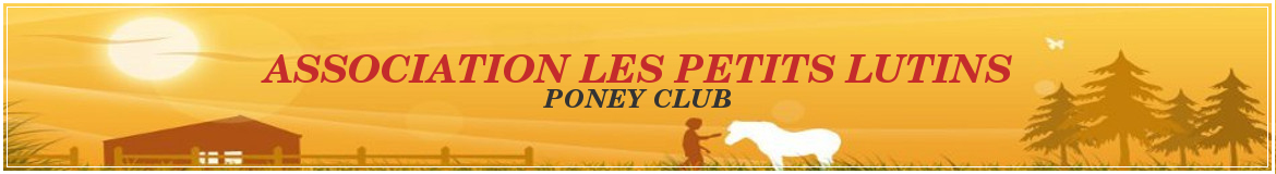 ASSOCIATION LES PETITS LUTINS
